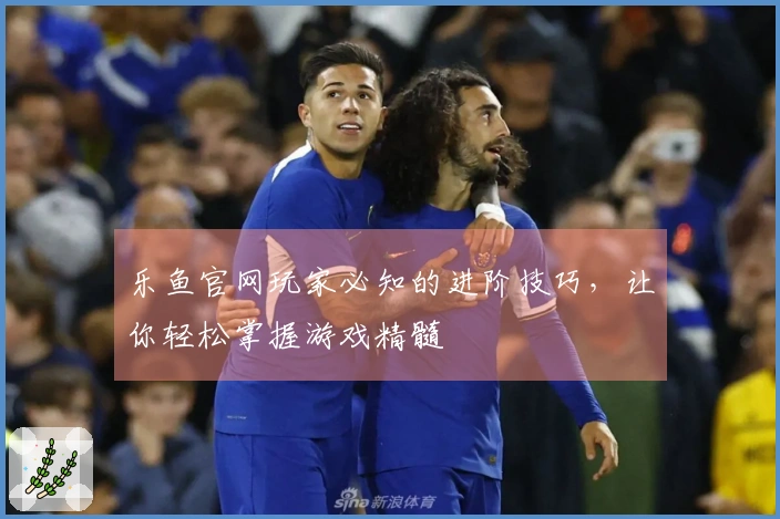 乐鱼官网玩家必知的进阶技巧，让你轻松掌握游戏精髓