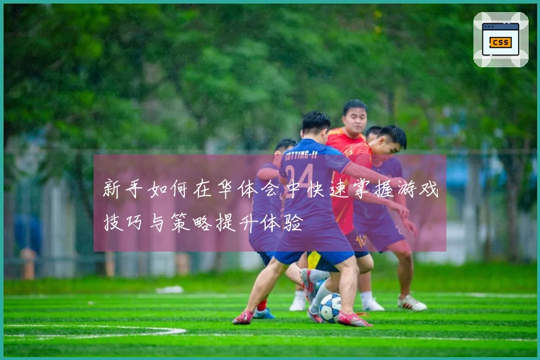 新手如何在华体会中快速掌握游戏技巧与策略提升体验