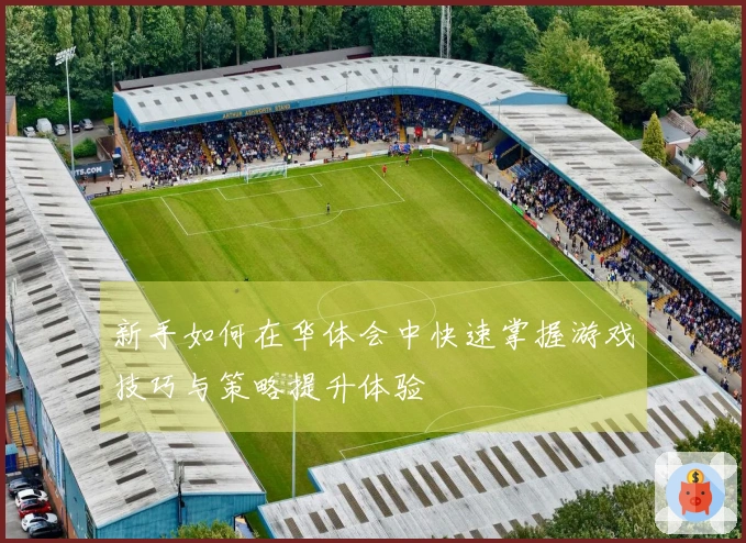 新手如何在华体会中快速掌握游戏技巧与策略提升体验